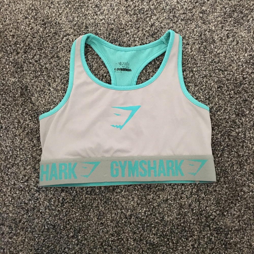 Gymshark Sports Bra in Gray and Teal